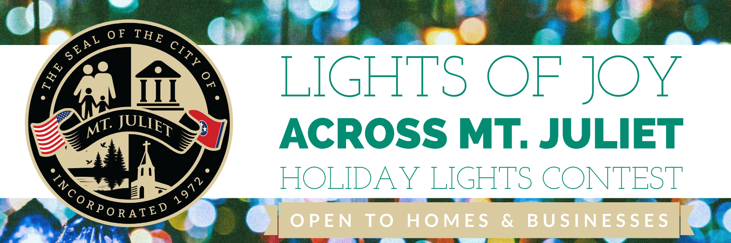 Holiday Lights Banner