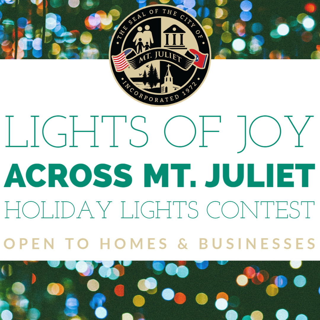 Holiday Lights Square